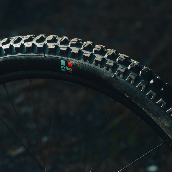 MTB Tires