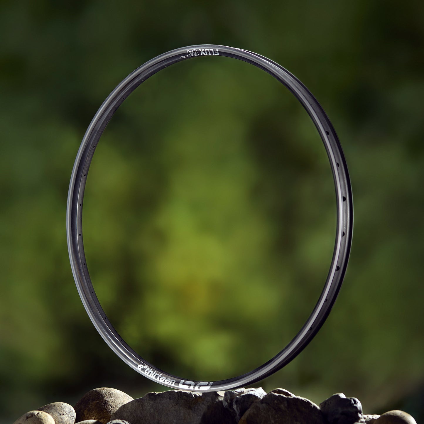 Flux Pro 54 All Mountain Carbon Mountain Bike Rim e*thirteen Europe GmbH