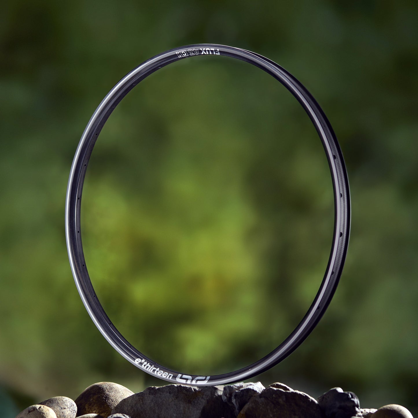 Flux Pro 43 Trail Carbon Mountain Bike Rim e*thirteen Europe GmbH