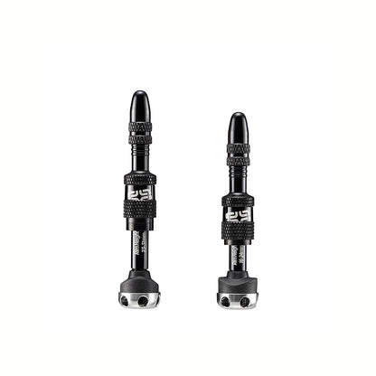 Quick Fill Presta Tubeless Valves