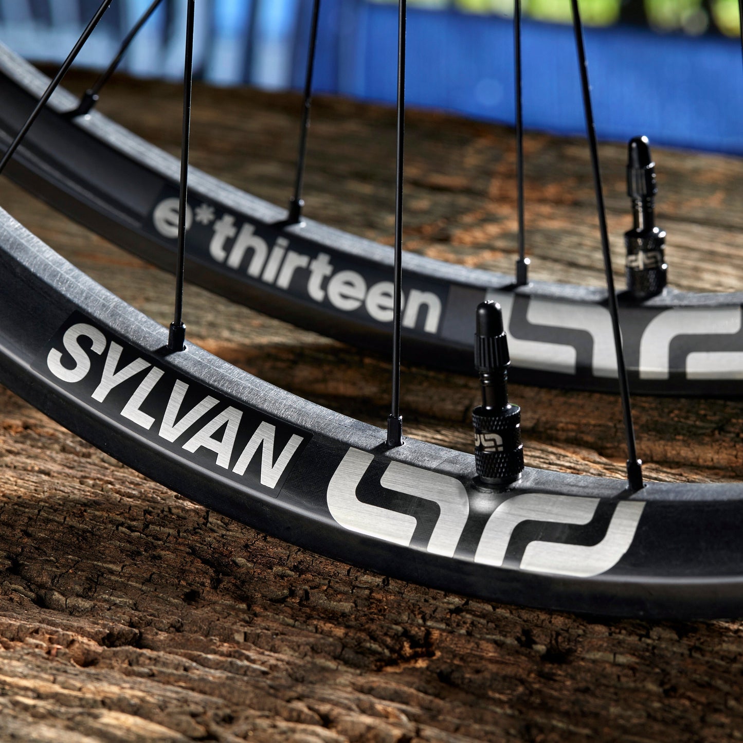 Sylvan Race Carbon All Mountain Rim ethirteen Europe GmbH