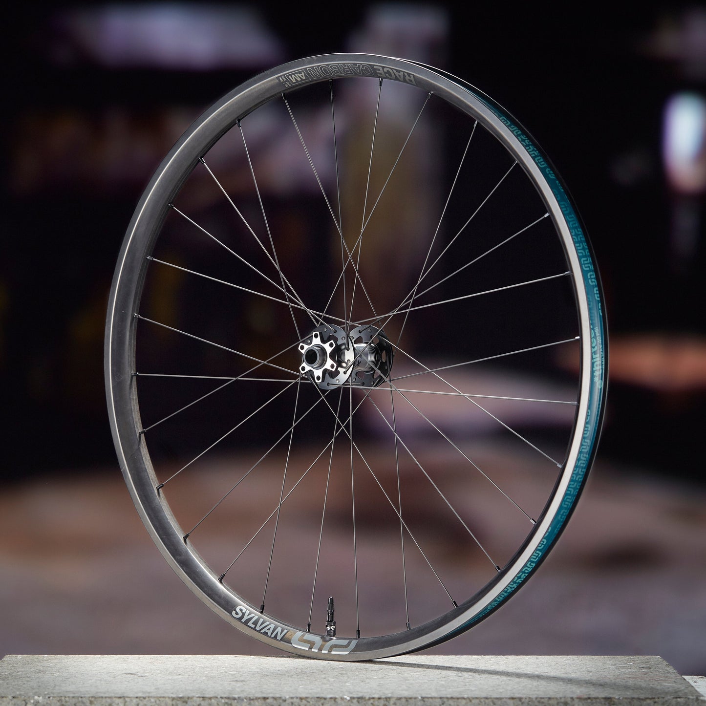Sylvan Sidekick Race Carbon All Mountain Wheels - Front (2025) e*thirteen Europe GmbH