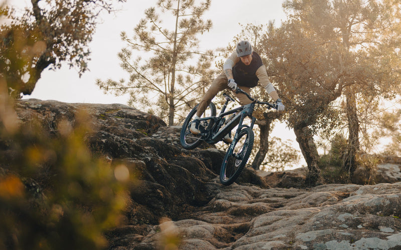 E-MTB