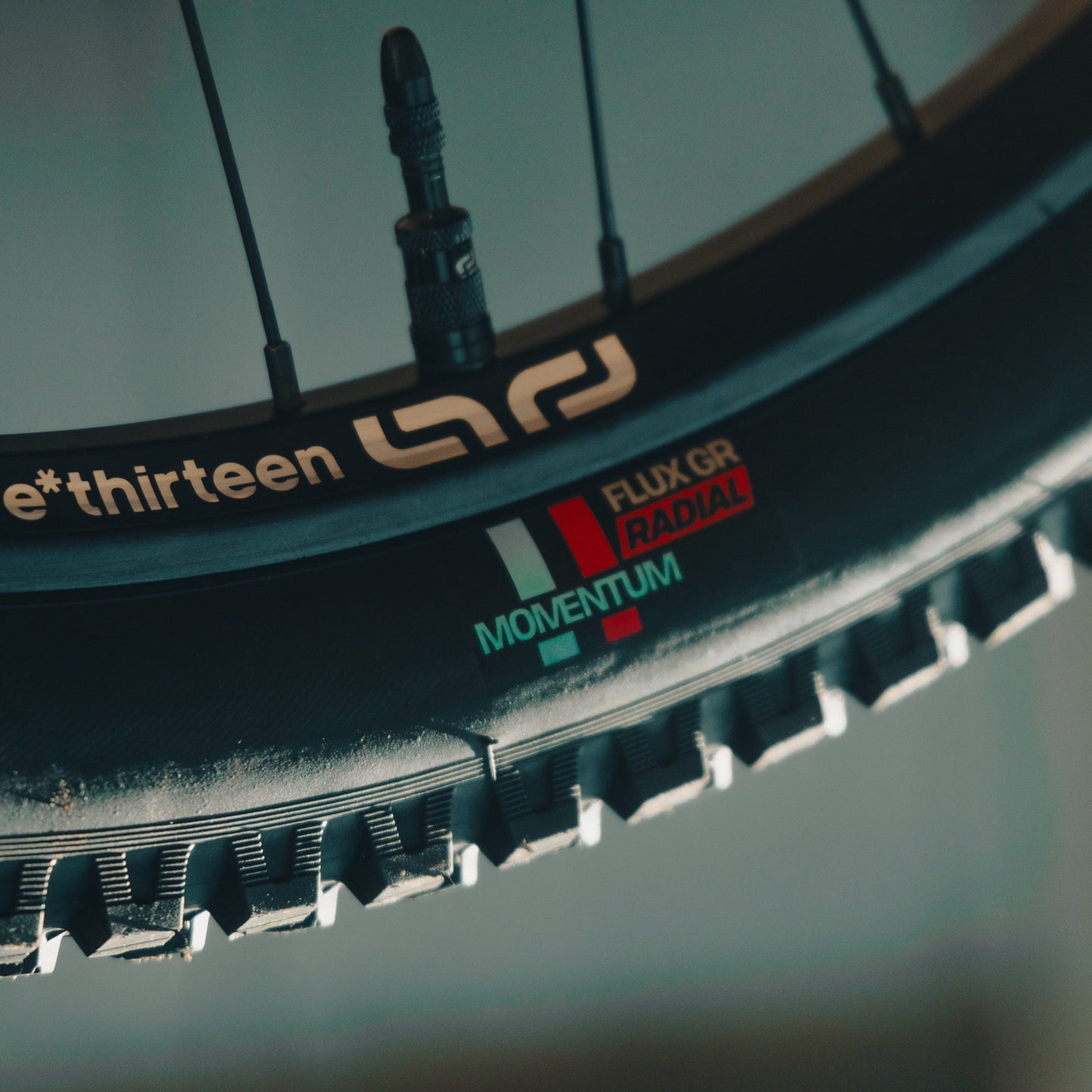 Grappler Radial MTB Tire e*thirteen Europe GmbH