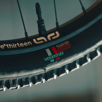 Grappler Radial MTB Tire