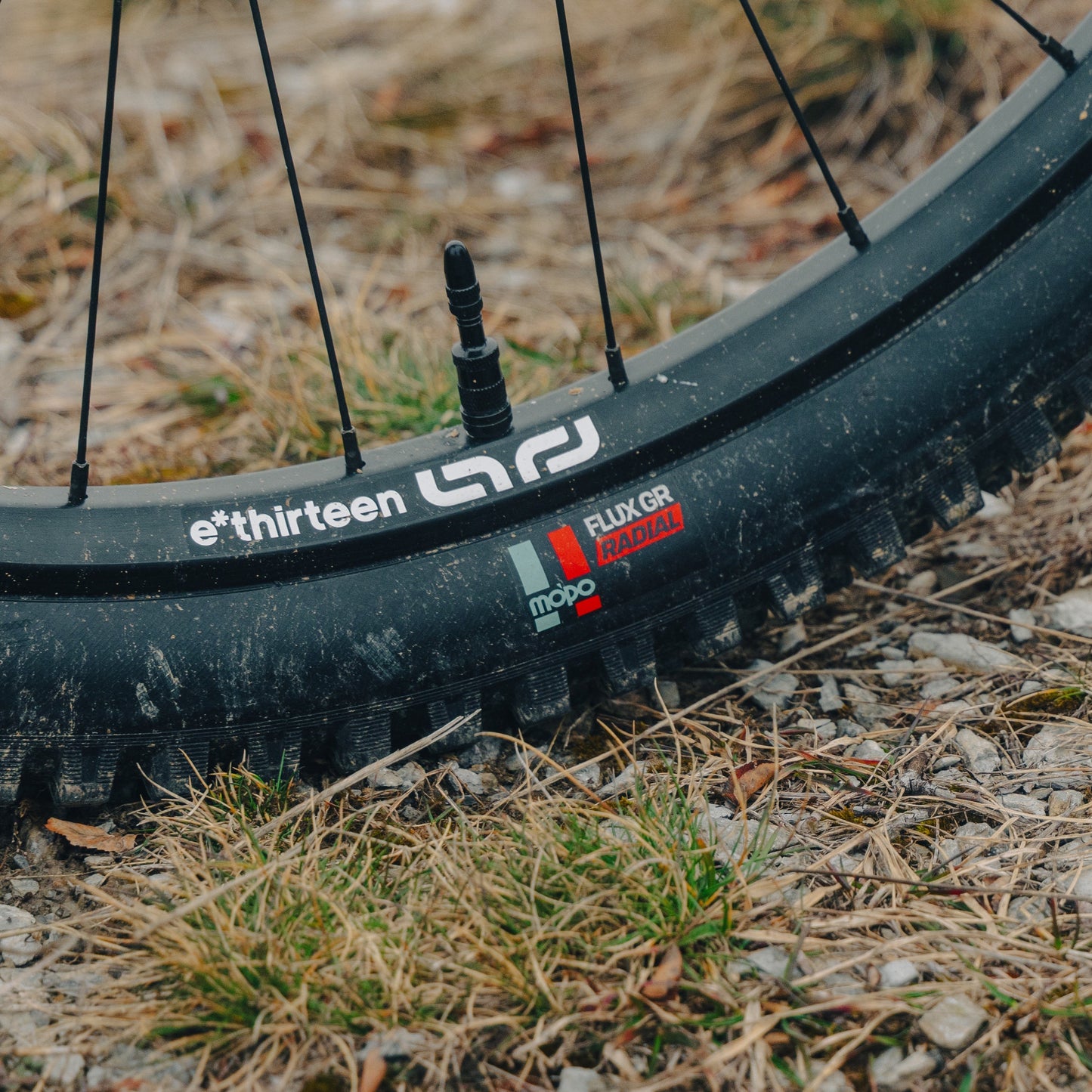 Grappler Radial MTB Tire e*thirteen Europe GmbH
