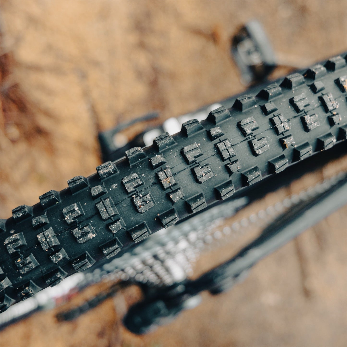 Grappler Radial MTB Tire e*thirteen Europe GmbH
