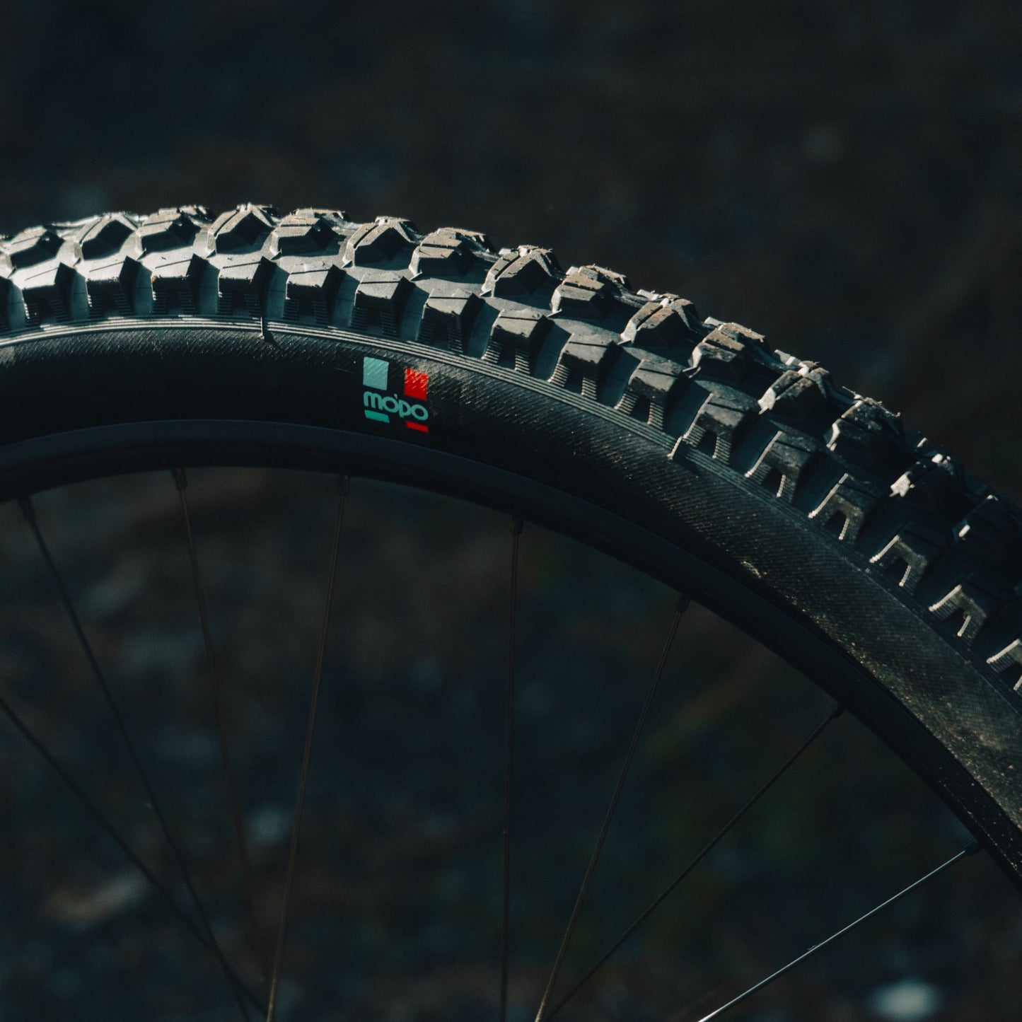 Grappler RS Rear MTB Tire e*thirteen Europe GmbH