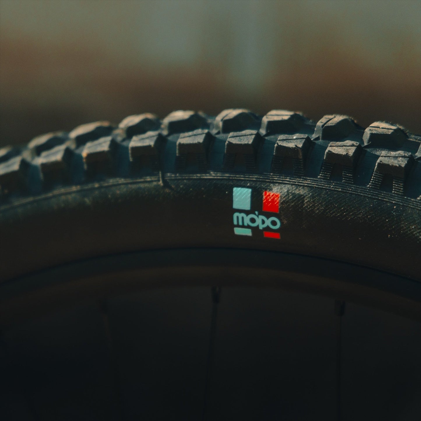 Grappler RS Rear Radial MTB Tire e*thirteen Europe GmbH