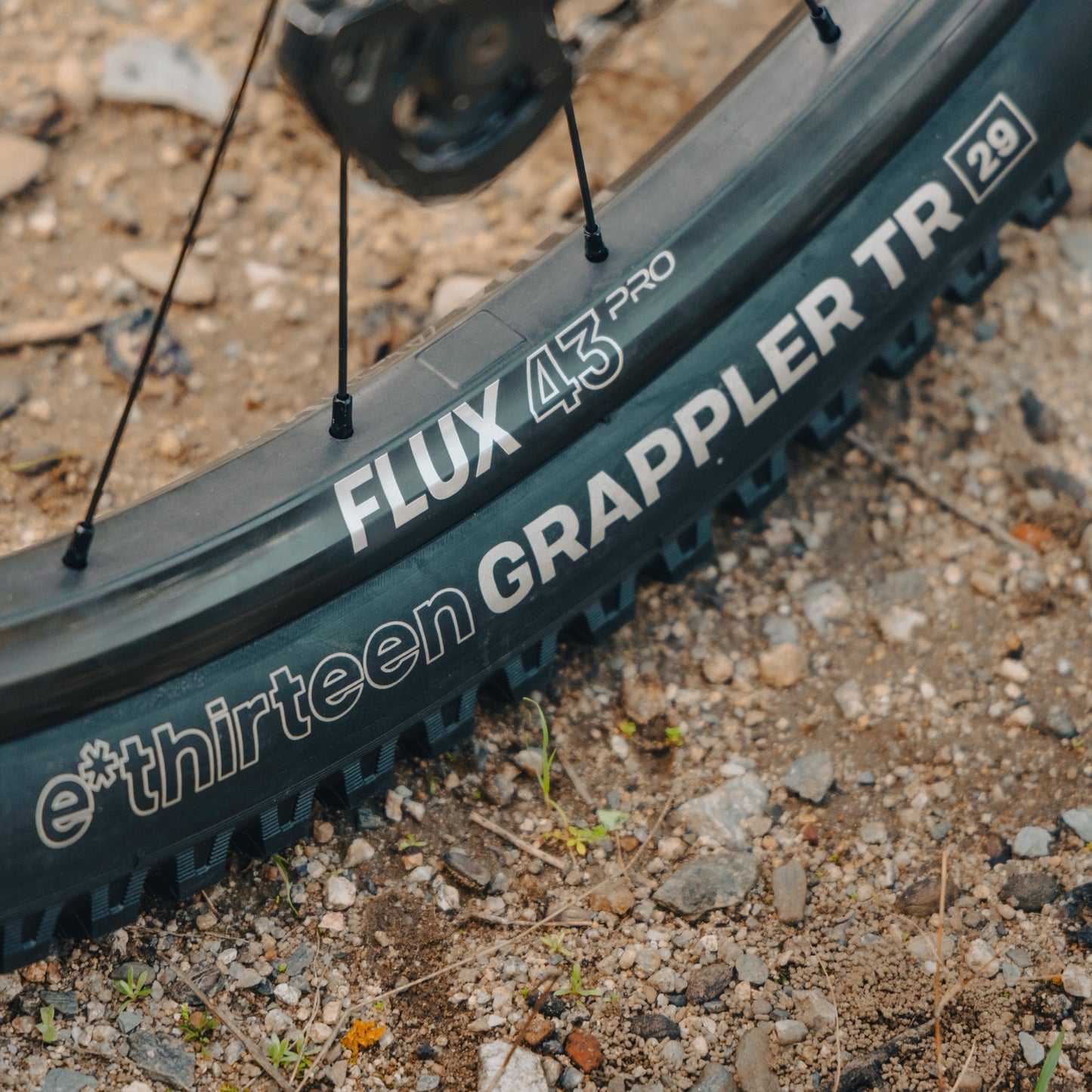 Grappler TR MTB Tire e*thirteen Europe GmbH
