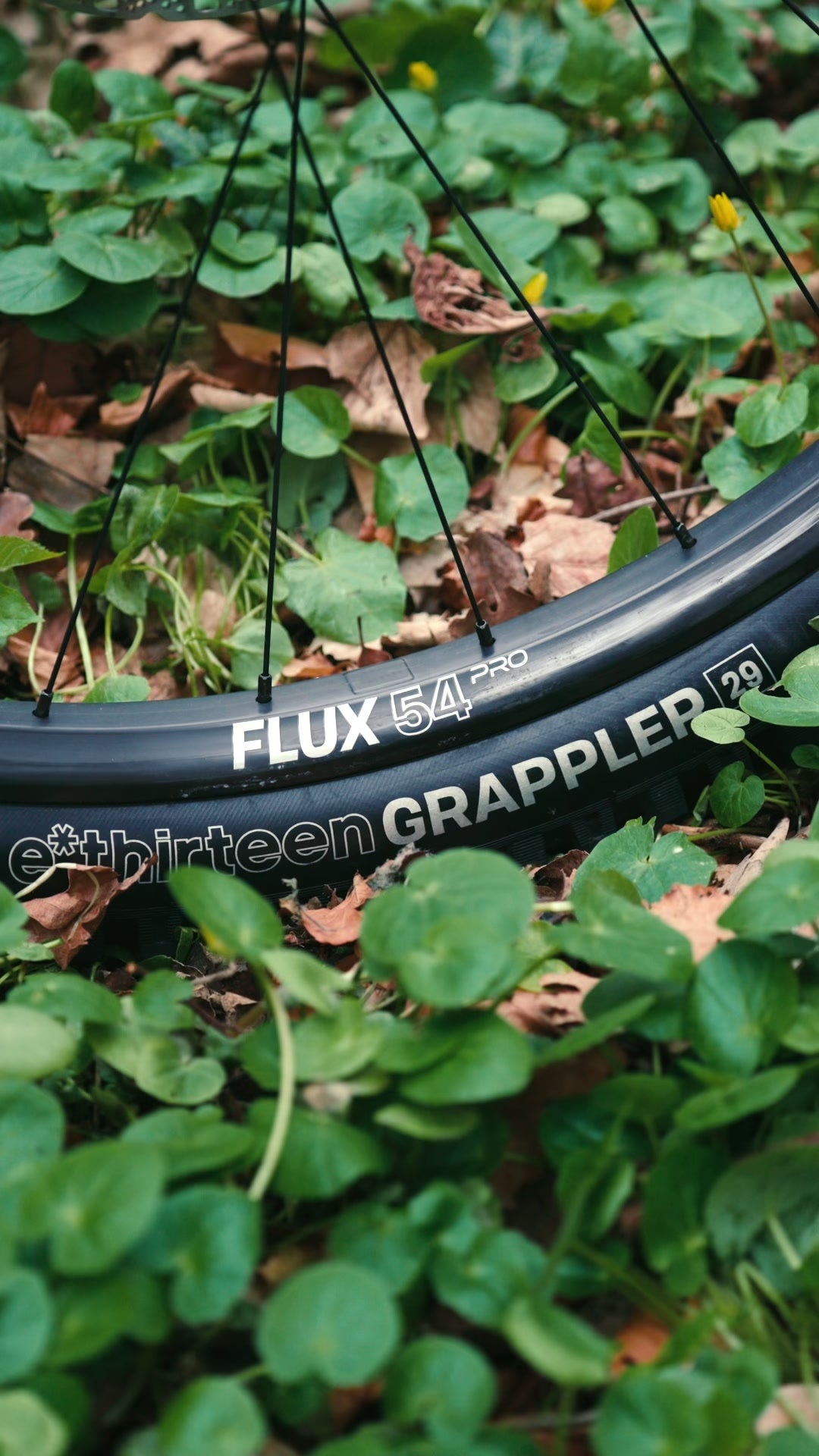 Close up of a Flux 54 Pro carbon rim and a Grappler tire on Jasper Jauch's Nomad