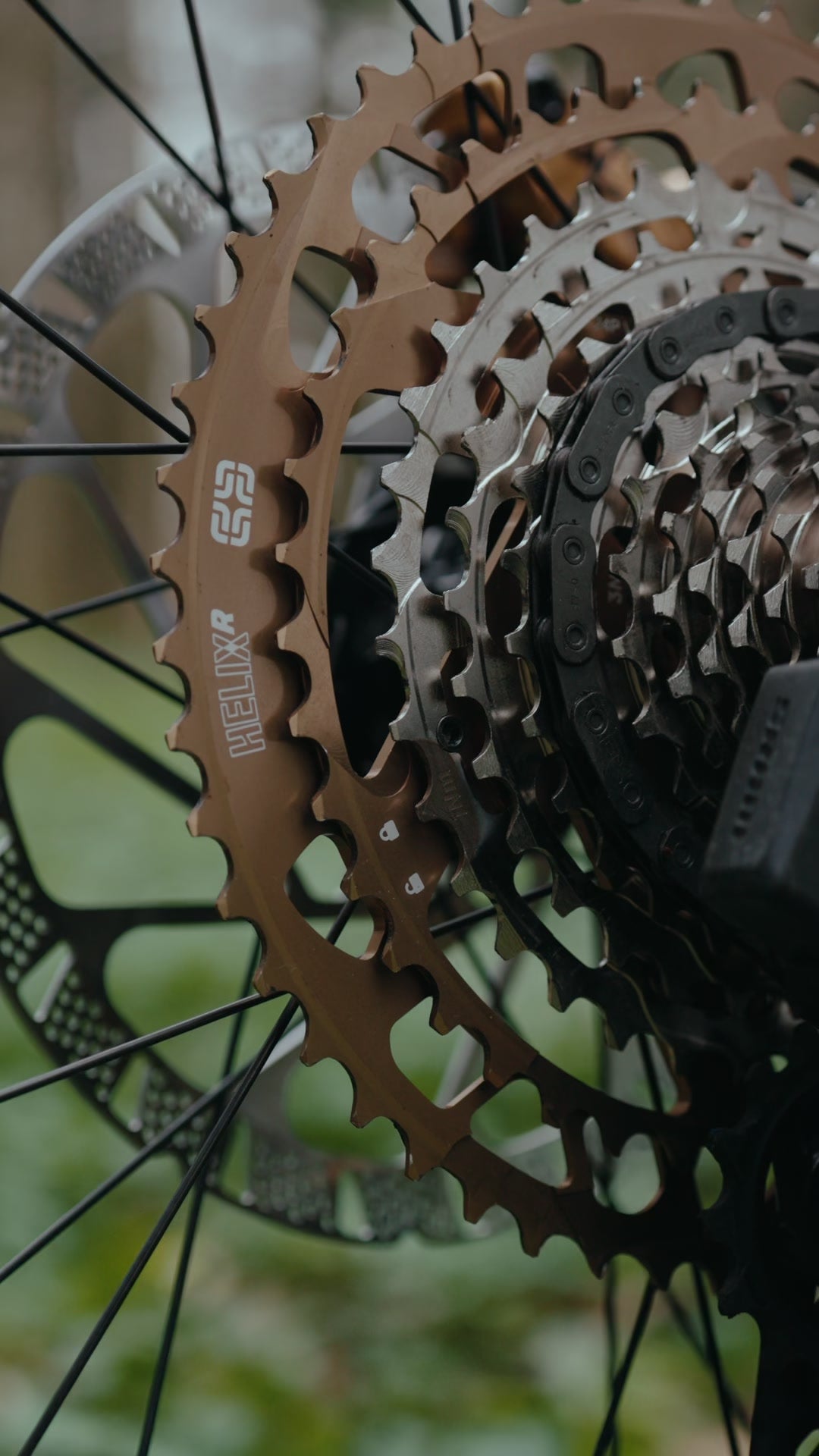 Close up of the bronze Helix Race 12 speed cassette and rotor on Jasper Jauch's Nomad