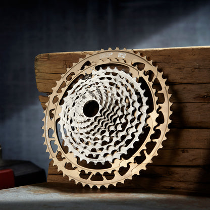 Helix Race 12-Speed 9-52T Cassette