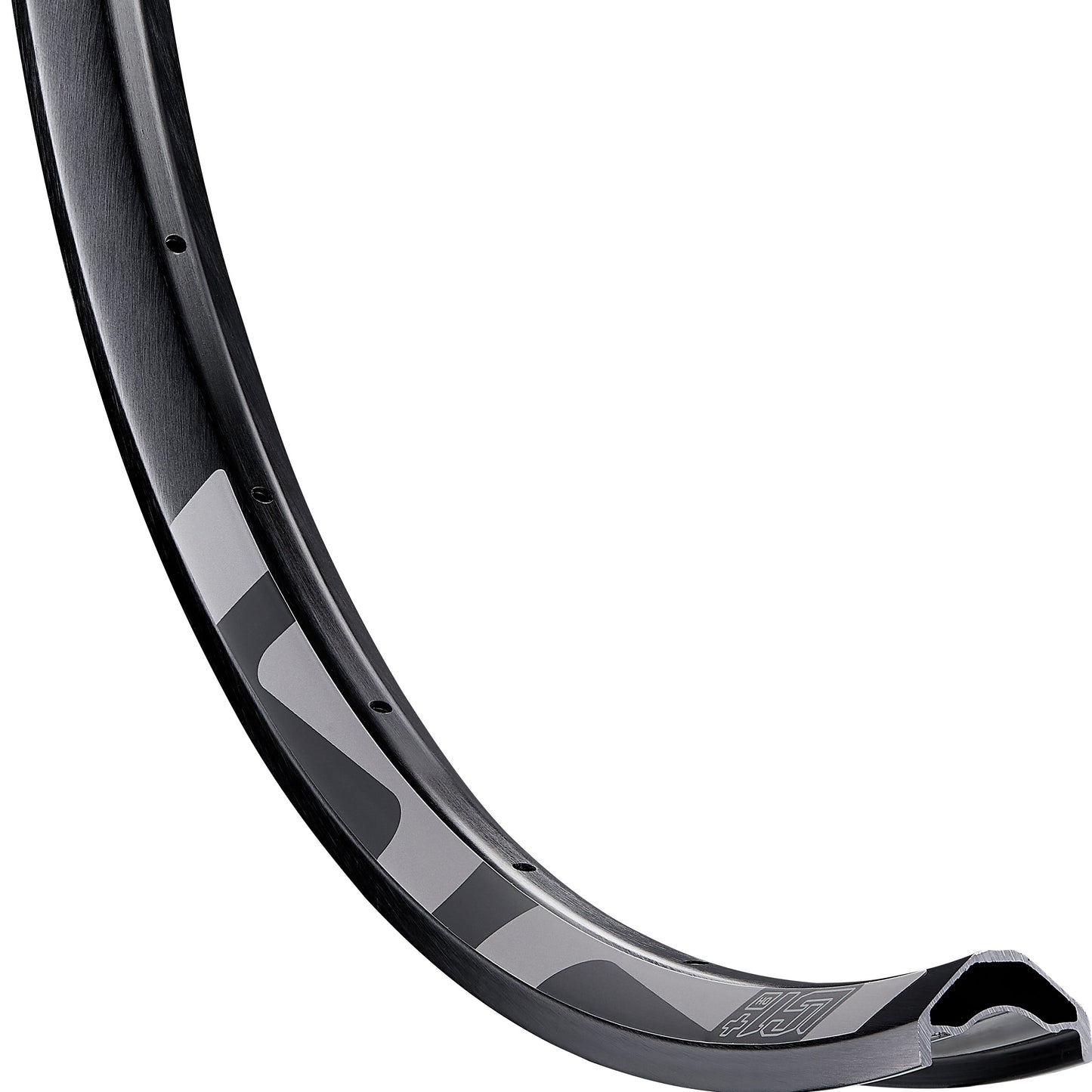 LG1 Plus Downhill Rim ethirteen Europe GmbH